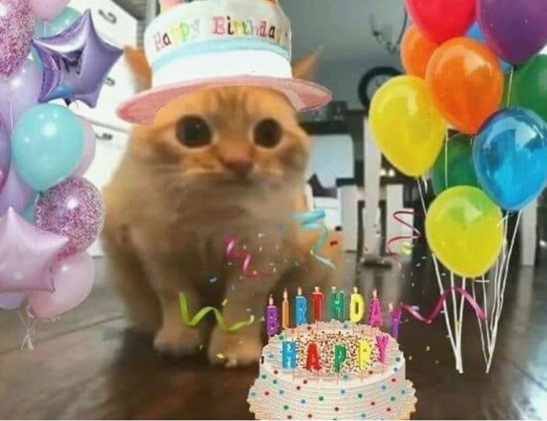 Meme chúc mừng sinh nhật hình một chú thỏ đội mũ