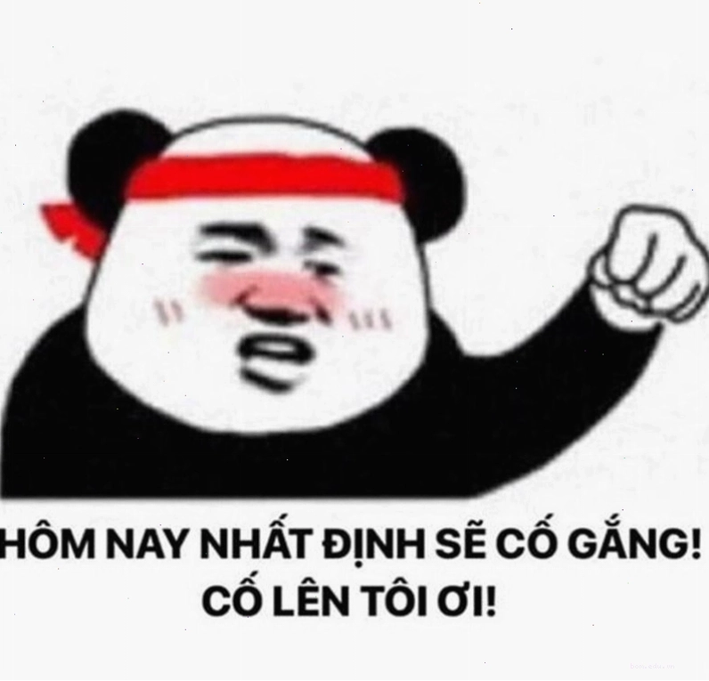 Meme cố lên hình ảnh chú gấu trúc đang nghỉ ngơi sau khi tập luyện