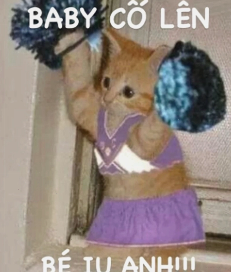 Meme cố lên hình ảnh chú mèo con đang cố gắng nhảy