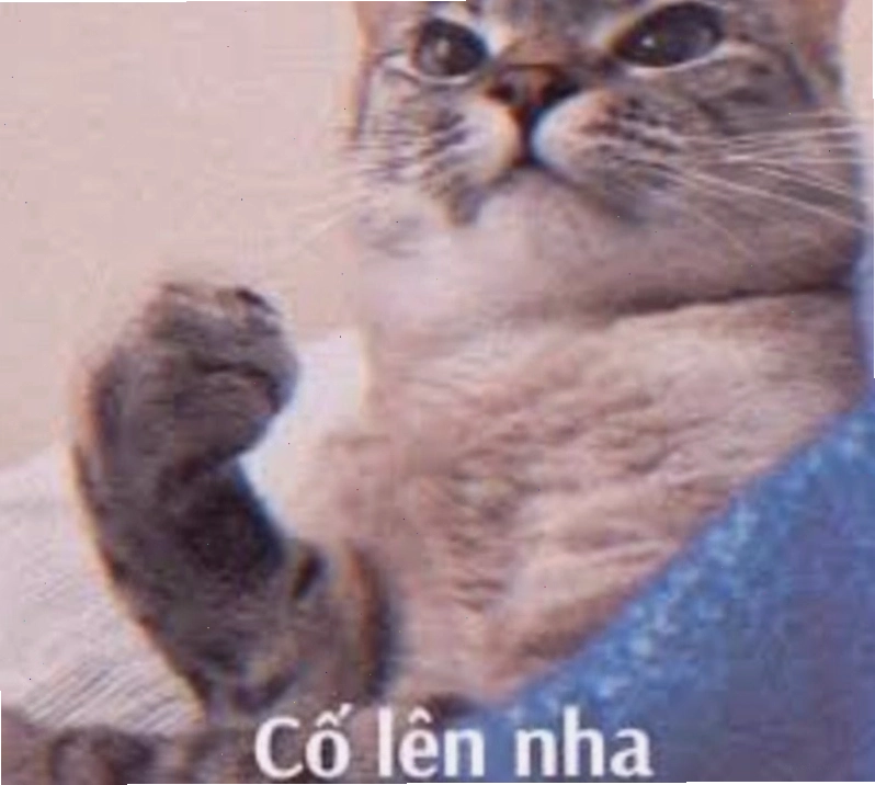 Meme cố lên hình ảnh chú mèo đáng yêu với thông điệp động viên