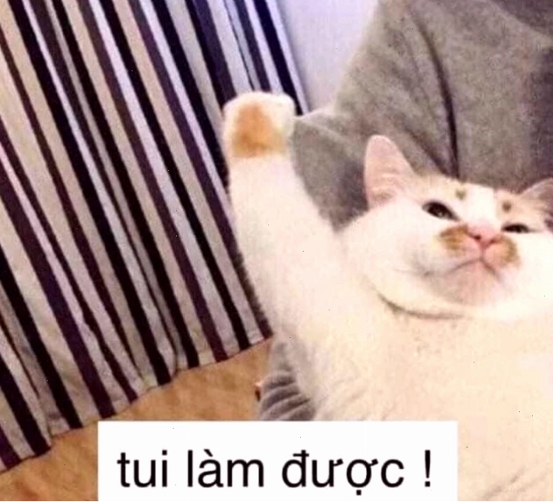 Meme cố lên hình ảnh em bé đang cố gắng leo cầu thang