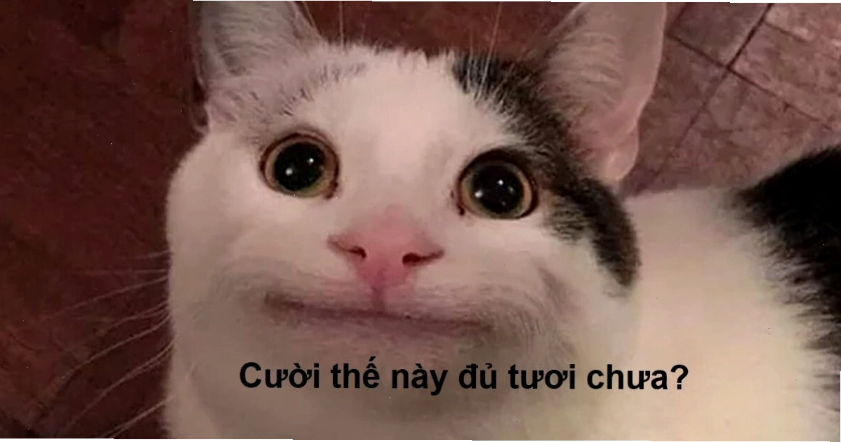 Meme cười gượng gạo
