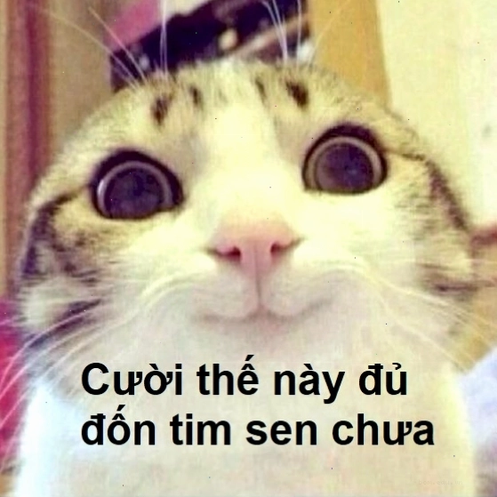 Meme cười mỉm mang vẻ tinh ranh