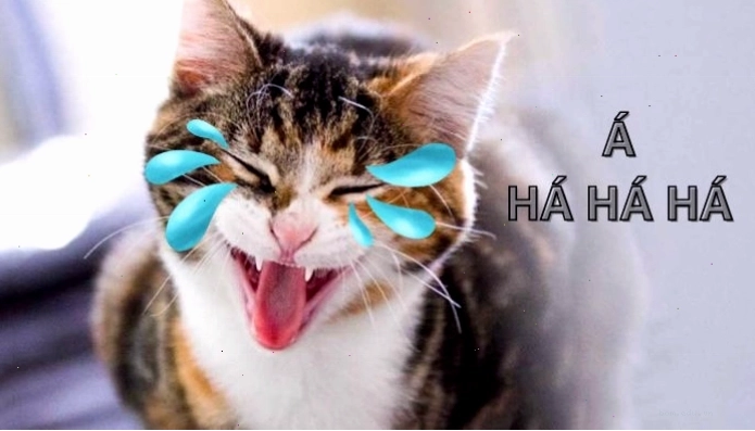 Meme cười ra nước mắt thể hiện sự hài hước tột độ