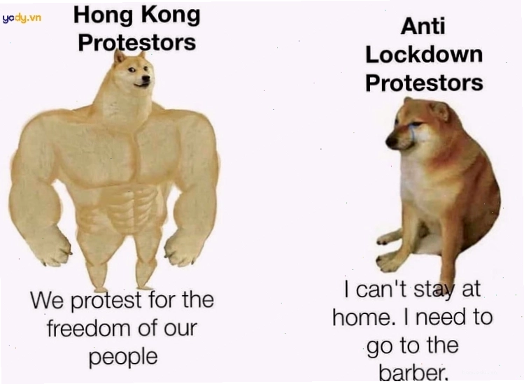 Meme Doge bá đạo