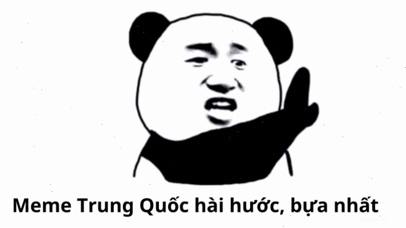 Meme gấu Trung Quốc và hải ly hài hước phản ánh sự sáng tạo trong meme vietnam