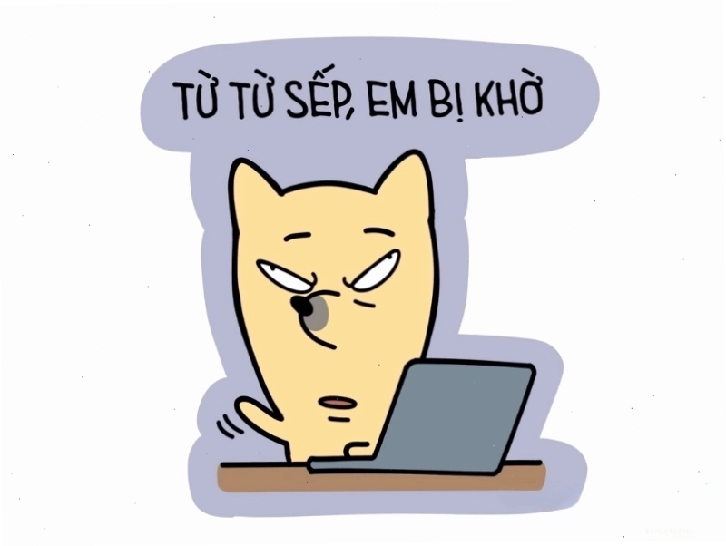 Meme giải trí thể hiện tình huống éo le