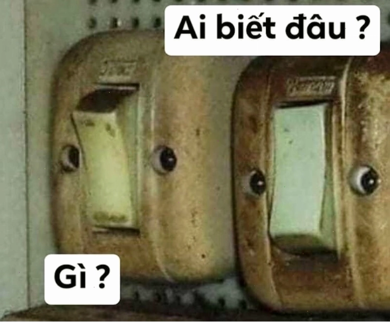 Meme hải cẩu ngơ ngác với câu nói Ai Biết Gì Đâu