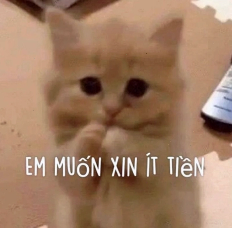 Meme hài hước về tình trạng hết tiền
