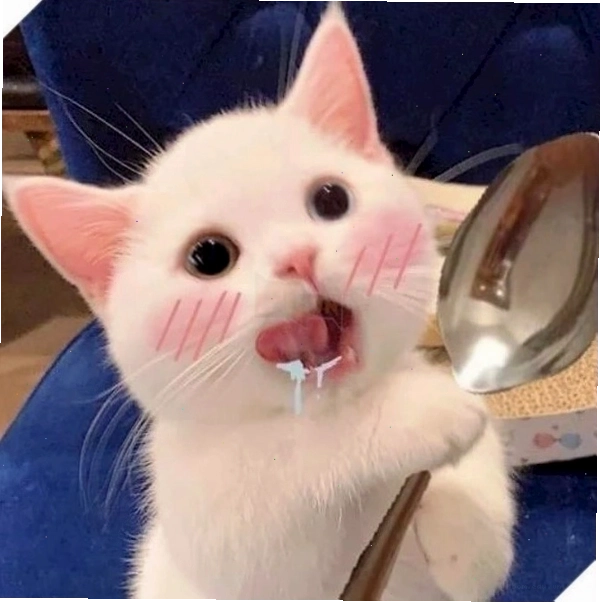 Meme mèo cười tít mắt rất đáng yêu