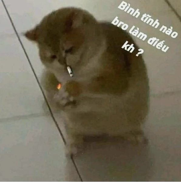 Meme nhắc nhở giữ thái độ bình tĩnh