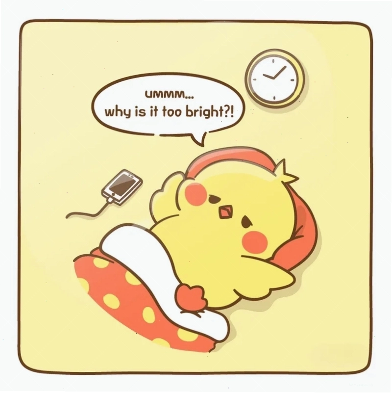 Meme ra chuồng gà chơi vui nhộn, sáng tạo