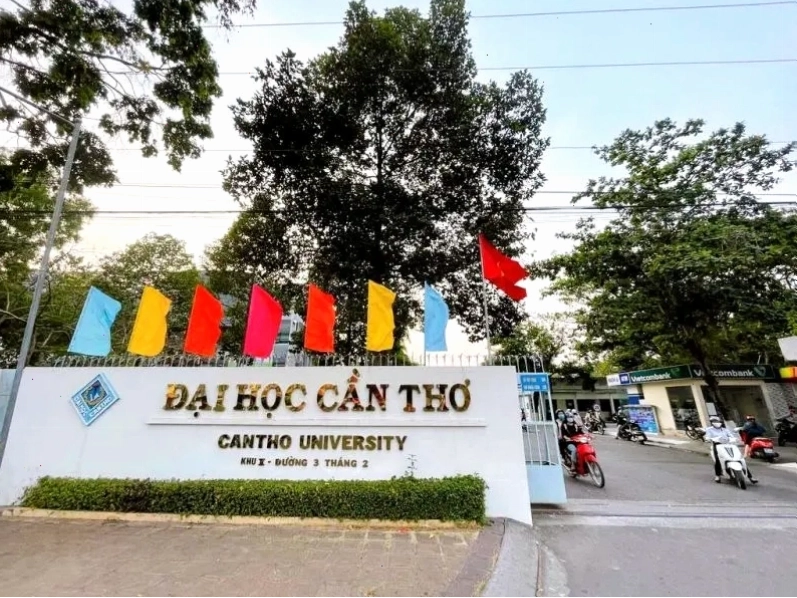 Meme thả tim vui nhộn