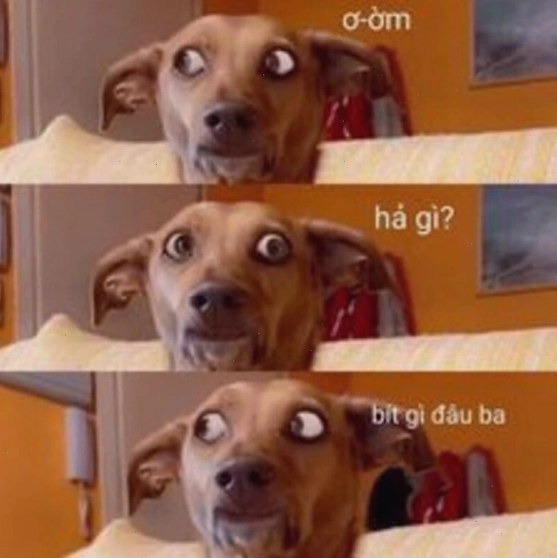 Meme Tom không biết gì hết