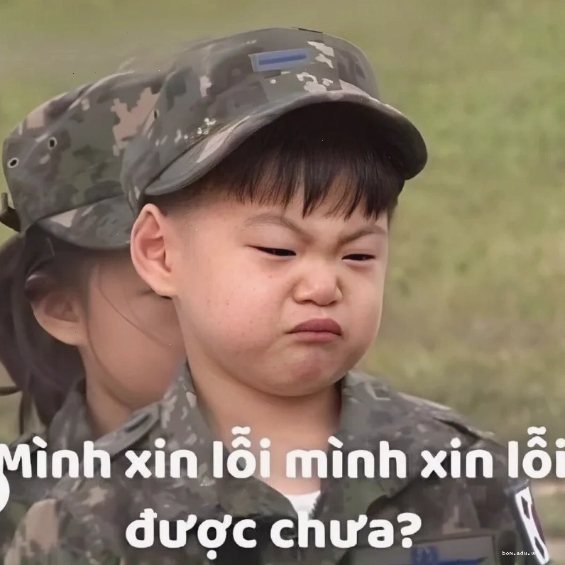 Meme xin lỗi vì đã lỡ lời