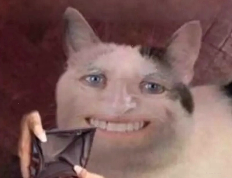 Meme xin tiền người yêu đầy hài hước