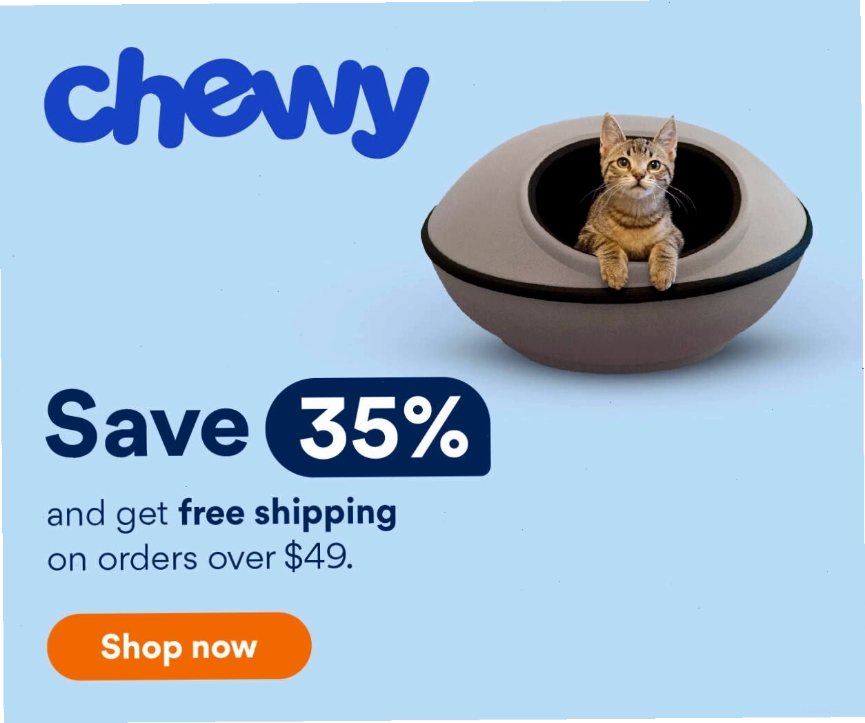Mèo con với biểu cảm đáng yêu ngồi cạnh cửa sổ