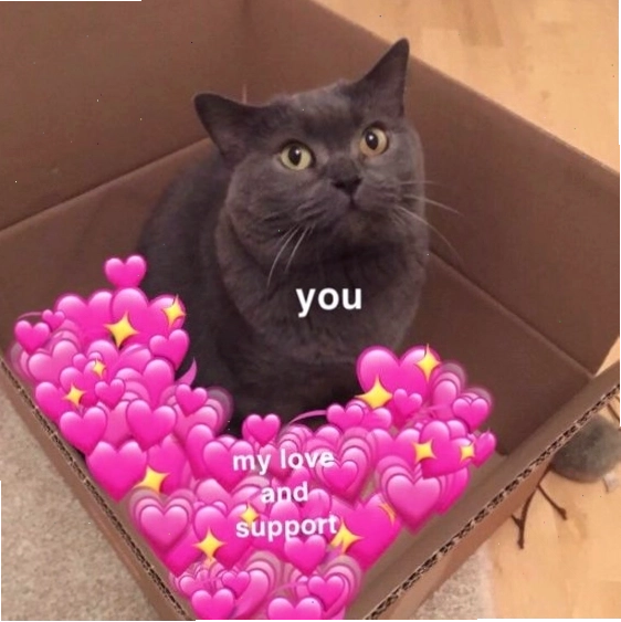 Mèo meme cực kỳ đáng yêu