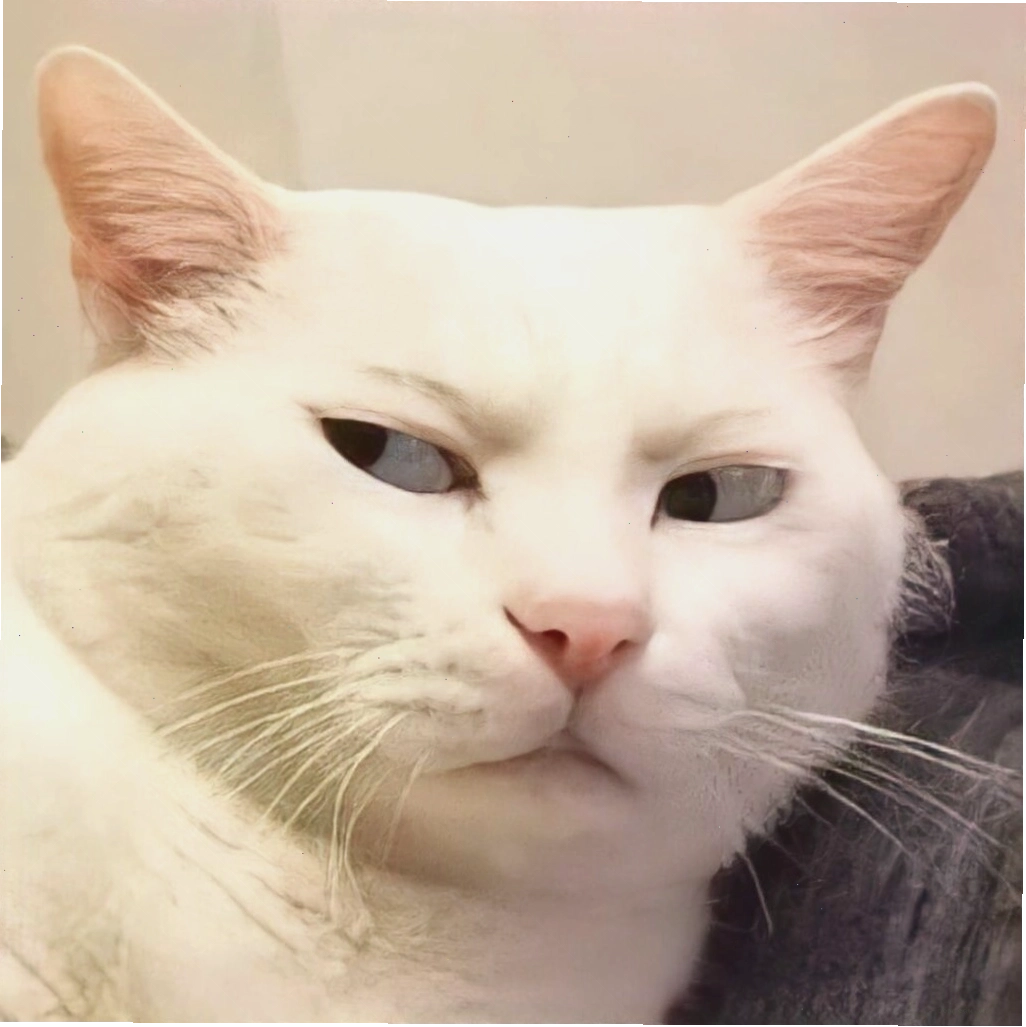 Mèo meme đang suy tư về cuộc đời