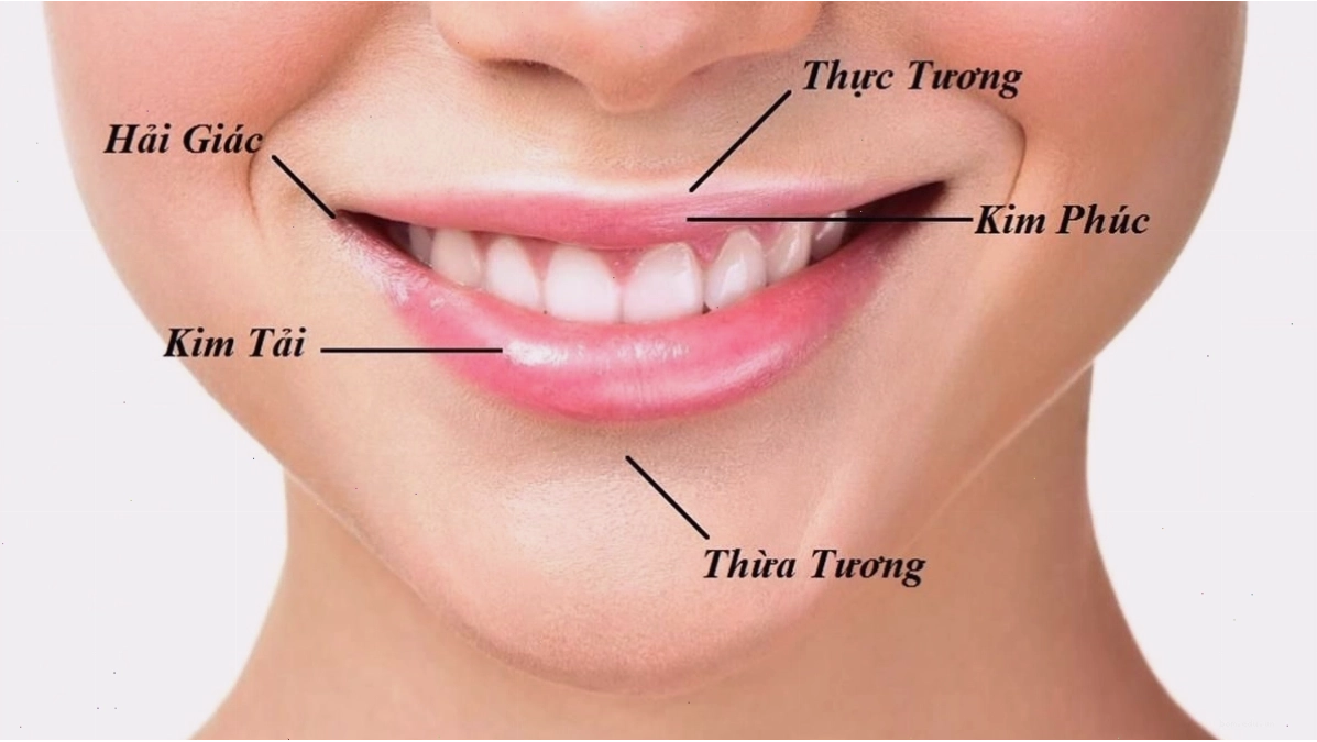 Miệng là bộ phận tiết lộ tài lộc
