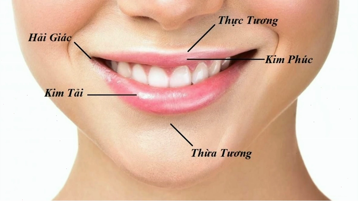 Miệng và đường pháp lệnh trong xem tướng