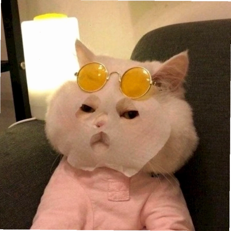 Ngắm nhìn vẻ đẹp avatar meme chất lượng cao