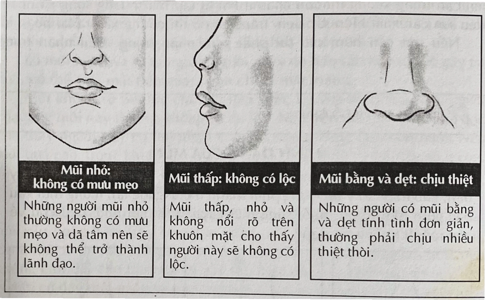 Nhân tướng học tướng mũi