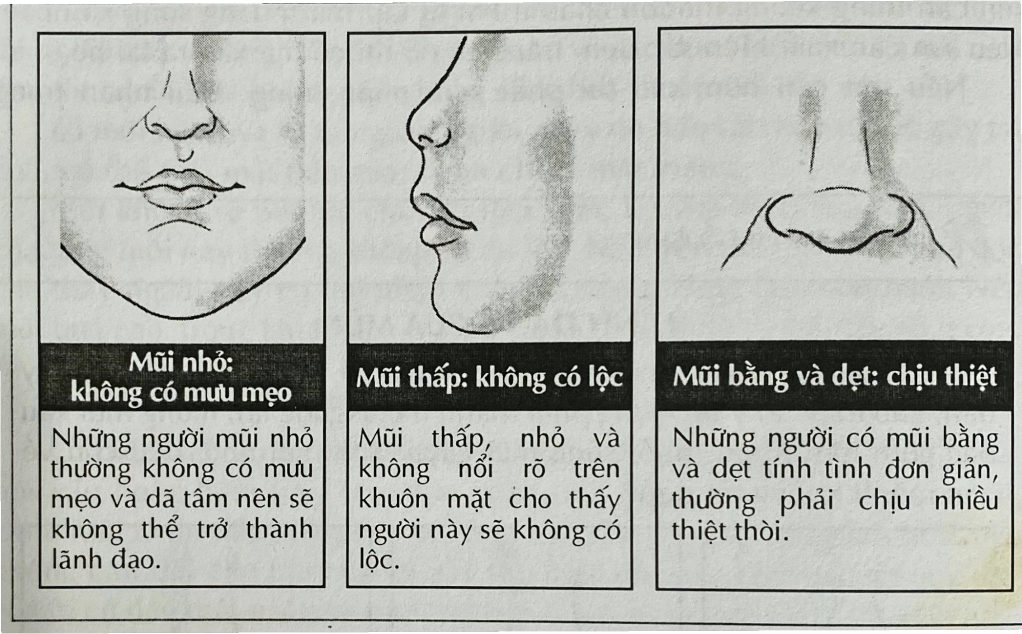 Nhân tướng học và cách xem tướng mũi