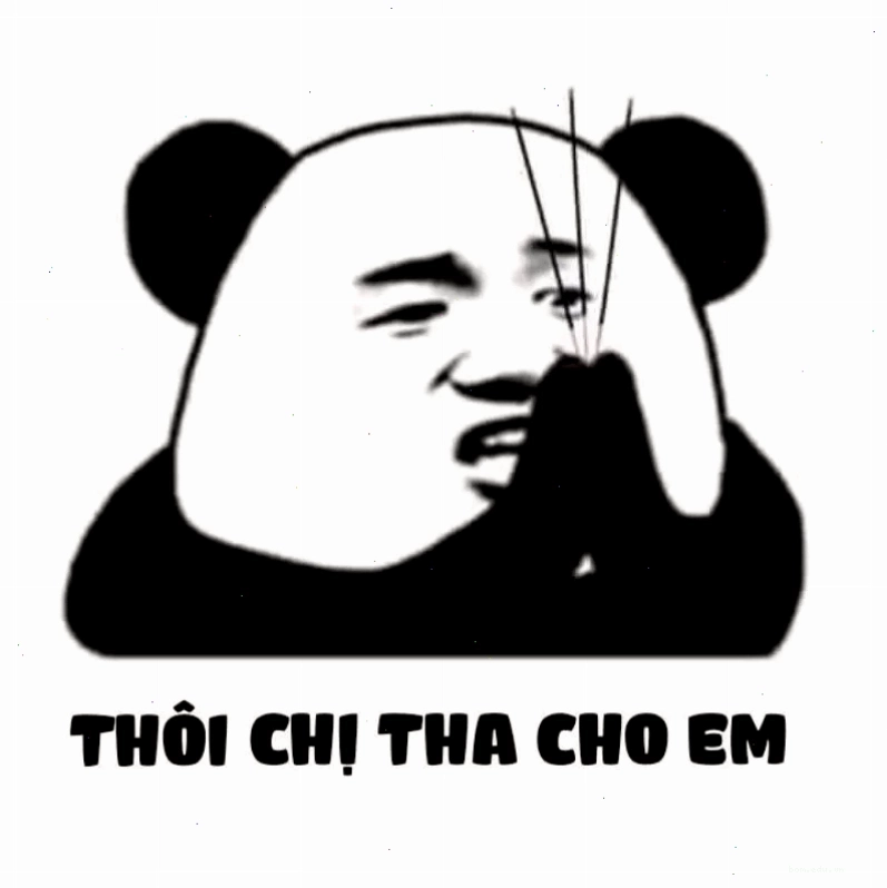 Thật dễ thương với meme xin lỗi đáng yêu