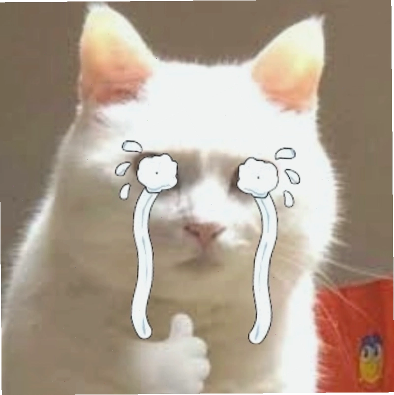Thế giới meme cat cry dễ thương với những biểu cảm "sún răng" khi khóc