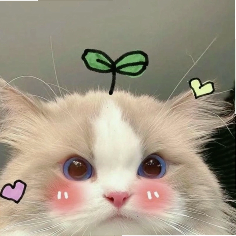 Tìm về avt meme mới nhất và độc đáo nhất