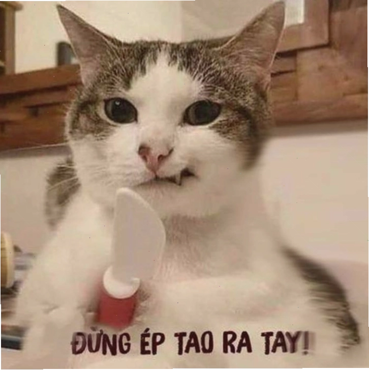 Tổng hợp Meme tức giận cute, dễ thương, tức ghê, giận tím người