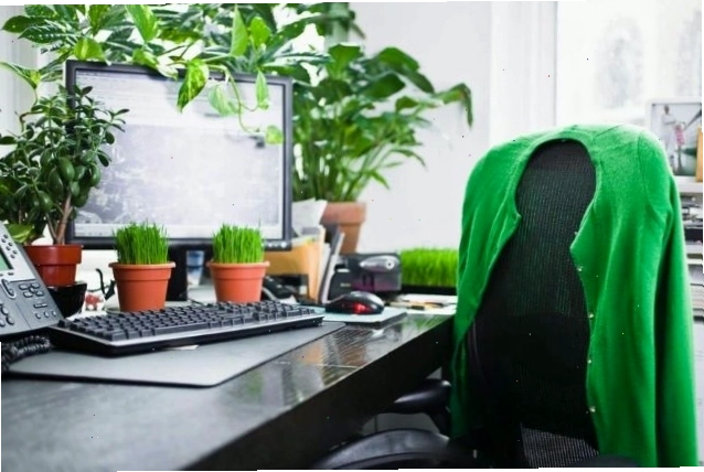 Trang trí bàn làm việc với cây xanh hợp phong thủy