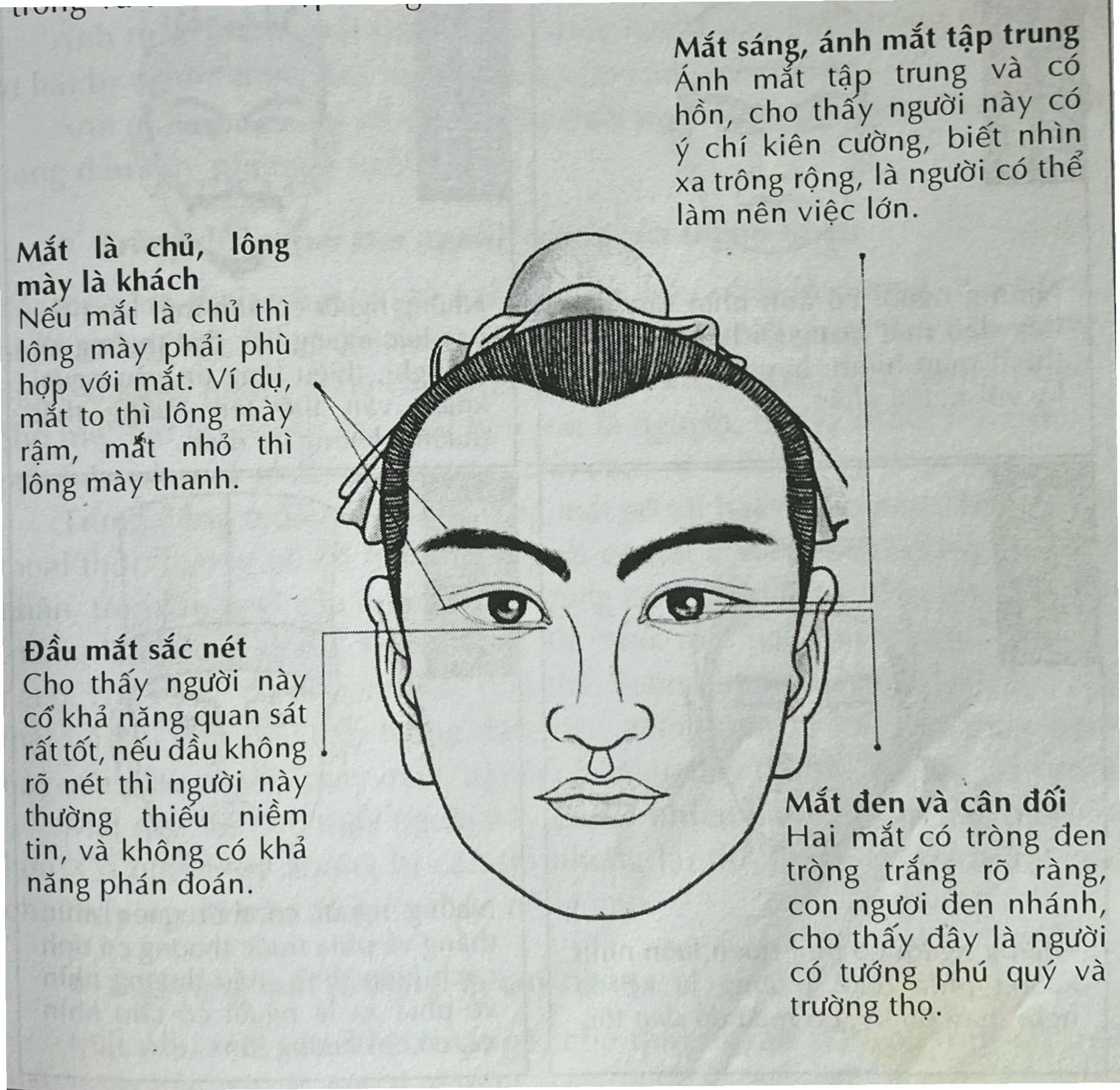 Tướng mắt phú quý