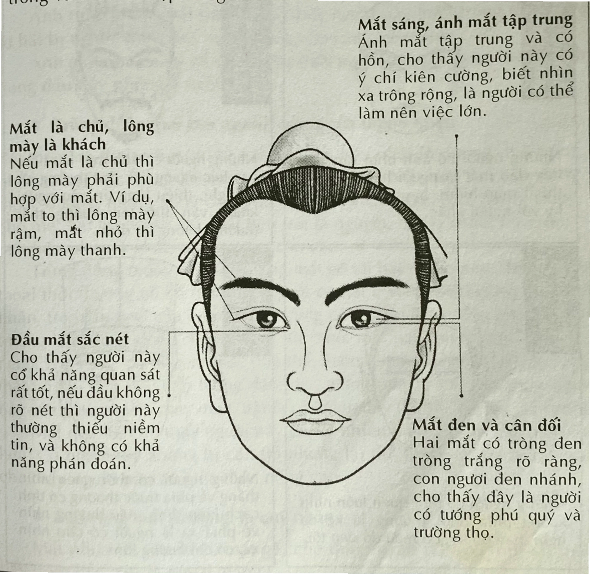 Tướng mắt phú quý trong nhân tướng học