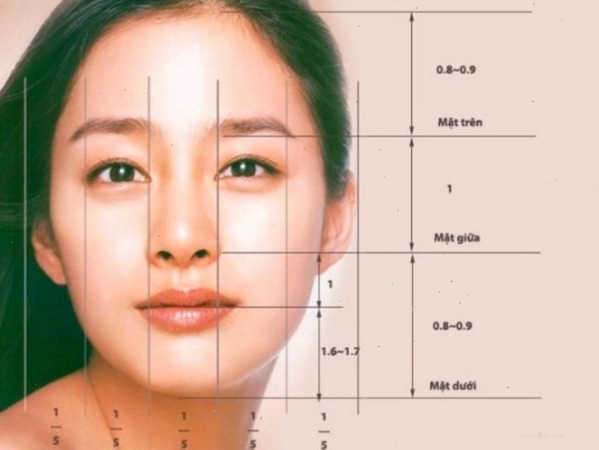 Xem nhân tướng học qua dáng đầu và các đặc điểm khuôn mặt