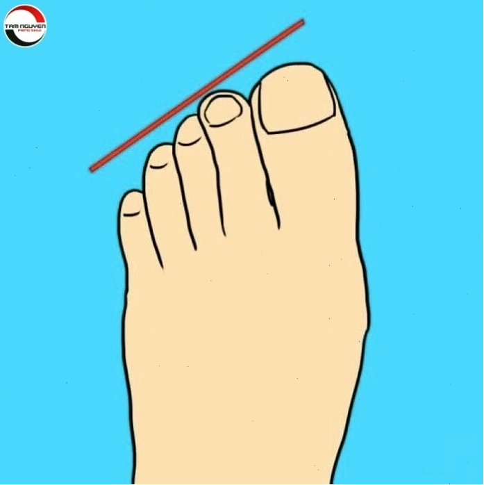 Xem tướng ngón chân và các yếu tố ảnh hưởng