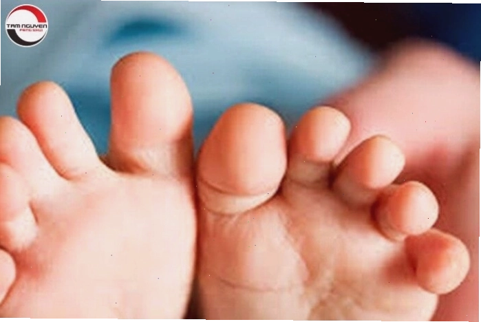 Xem tướng qua độ dài ngón chân