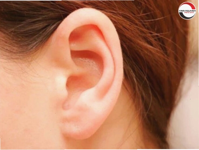 Xem tướng tai đàn ông để hiểu về vận mệnh