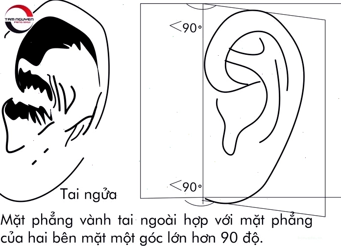 Xem tướng tai đàn ông và sự rèn luyện bản thân