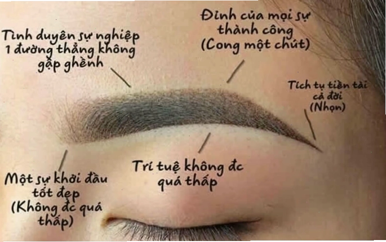 Ý nghĩa của dáng lông mày trong nhân tướng học