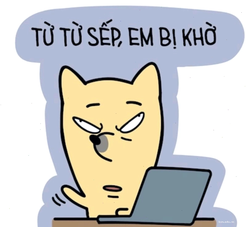 Meme tình huống công sở độc lạ cho máy tính