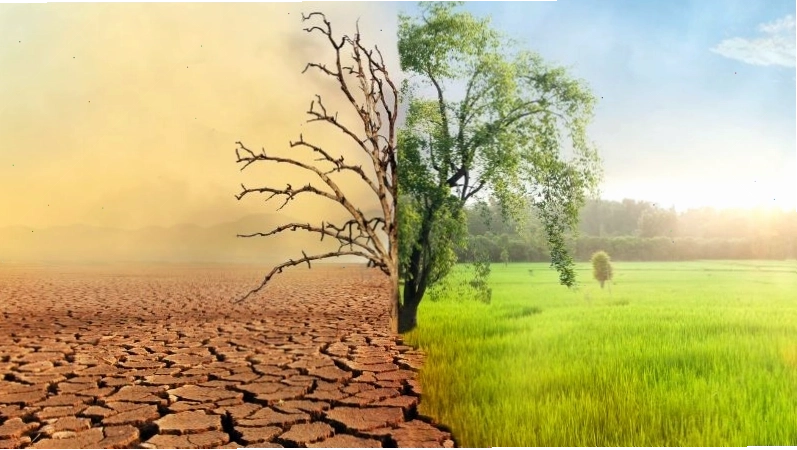 Những biểu hiện rõ rệt của biến đổi khí hậu