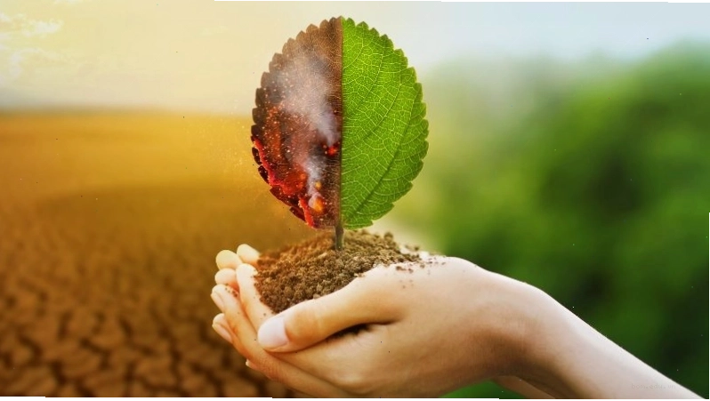 Việt Nam bị ảnh hưởng nặng nề bởi biến đổi khí hậu
