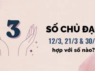 Con số chủ đạo 3 giúp bạn khai phá tiềm năng bản thân
