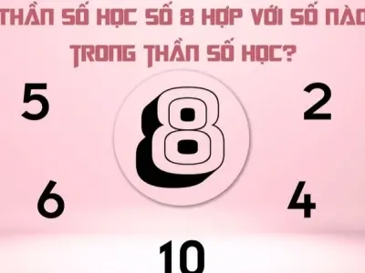 Ý nghĩa con số chủ đạo 8 trong thần số học chính xác nhất