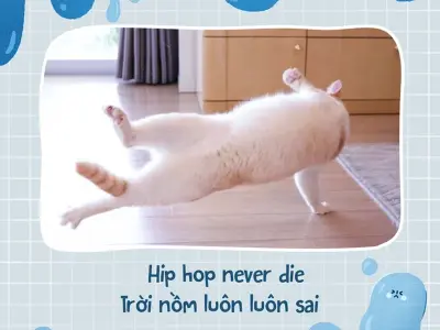 Ảnh meme về giao thông và thời tiết độc đáo và thu hút nhất