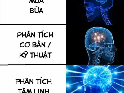Ảnh meme về lười biếng và trì hoãn vui vẻ, tạo tiếng cười