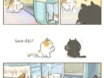 Những ảnh meme về thú cưng vui nhộn được yêu thích nhất
