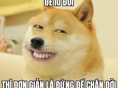 Tuyển chọn ảnh meme yêu đời tích cực siêu dễ thương